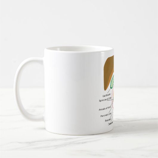 Gallensystems-Diagramm-Diagramm-Gallenweg Kaffeetasse (Links)