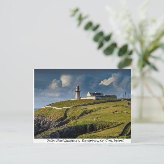 Galley Head Lighthouse, Landkreis Cork, Irland Postkarte (Stehend Vorderseite)