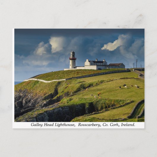 Galley Head Lighthouse, Landkreis Cork, Irland Postkarte (Vorderseite)