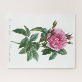 Gallic Rosa Blume Vintag Alte Illustration Puzzle (Horizontal)