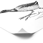 Gallinule Bird Zeichnend Fotodruck (Ecke)