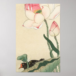 Gallinule mit Lotus-Blume von Ohara Koson Poster