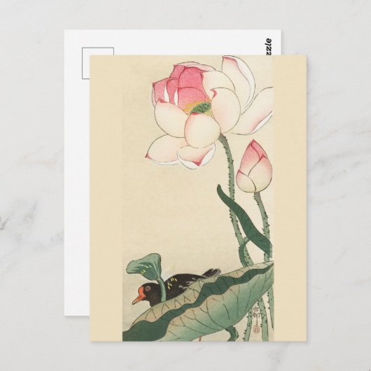 Gallinule mit Lotus-Blume von Ohara Koson Postkarte (Vorne/Hinten)