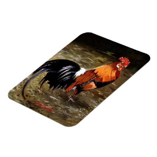 Gallo/Galo/Rooster Magnet (Linke Seite)