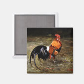 Gallo/Galo/Rooster Magnet (Vorderseite/Rückseite)