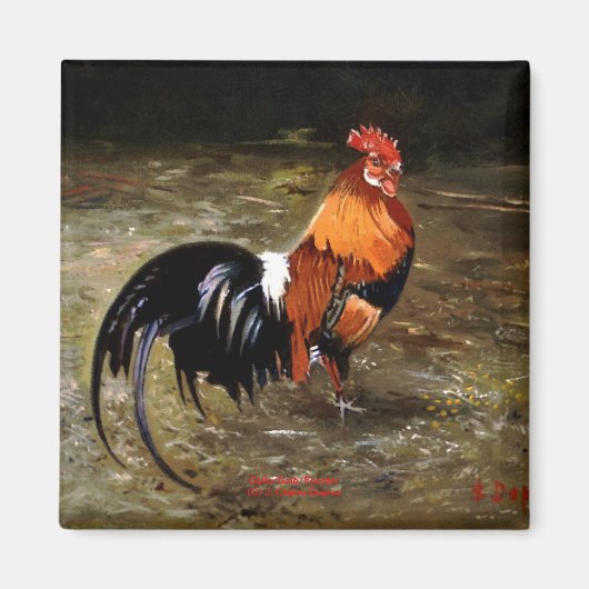 Gallo/Galo/Rooster Magnet (Vorne)