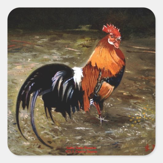 Gallo/Galo/Rooster Quadratischer Aufkleber (Vorderseite)