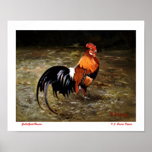 Gallo Poster (Vorne)