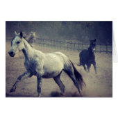 Gallop (Vorderseite (Horizontal))