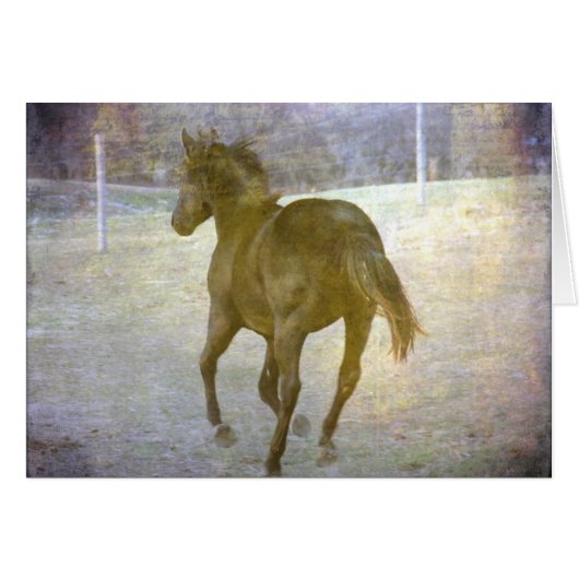 Gallop Away (Vorderseite (Horizontal))