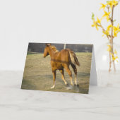 Gallop Away Karte (Gelbe Blume)