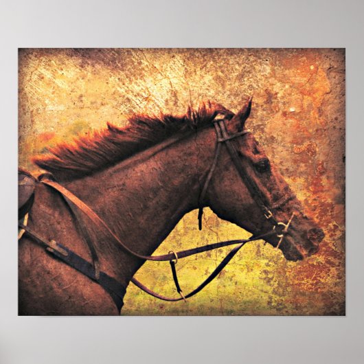 Gallop Away Poster (Vorne)