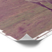 Gallop Poster (Ecke)