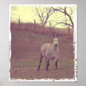 Gallop Poster (Vorne)