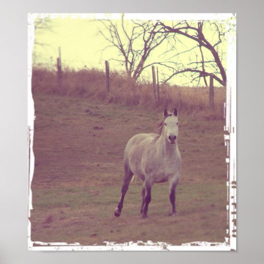 Gallop Poster (Vorne)