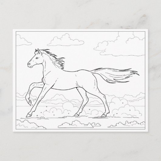 Gallop Postkarte (Vorderseite)