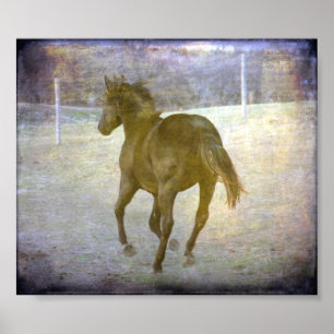 Gallop weg, Jack Poster
