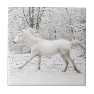 Gallopierendes weißes Pferd im Schnee Fliese