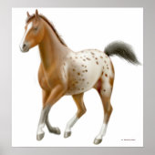Galloping Appaloosa Pferdedrucke Poster (Vorne)
