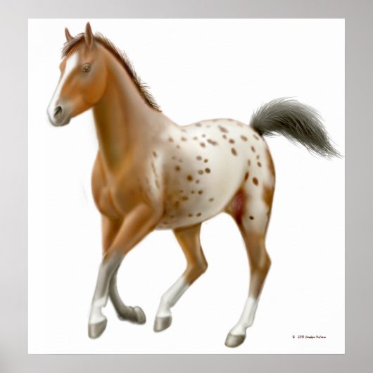 Galloping Appaloosa Pferdedrucke Poster (Vorne)