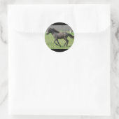 Galloping Colt Sticker (Tasche)
