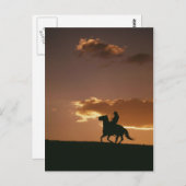 Galloping Cowboy-Silhouette Postkarte (Vorne/Hinten)