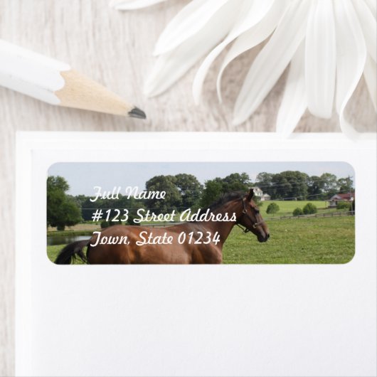 Galloping durchdachte Mailing Labels (Insitu)