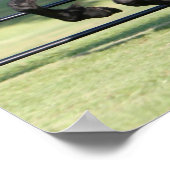 Galloping Friesian Beauty Poster (Ecke)