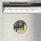 Galloping Friesian Horses Magnet (In Situ (Geschirrspüler))