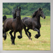 Galloping Friesian Horses Poster (Vorne)