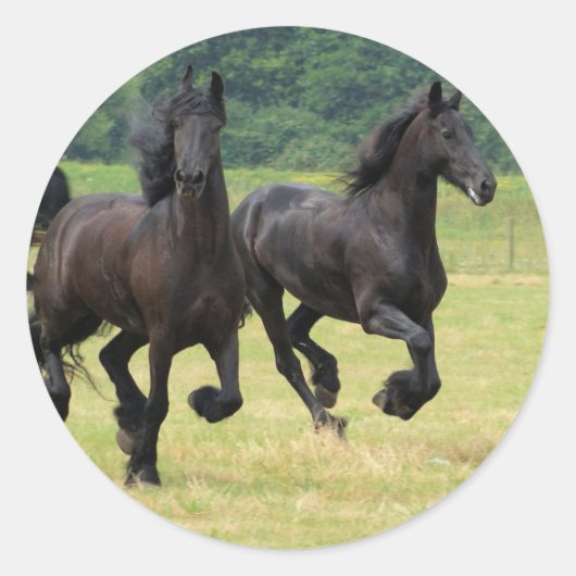 Galloping Friesian Horses Stickers (Vorderseite)