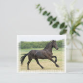 Galloping Friesian Postkarte (Stehend Vorderseite)