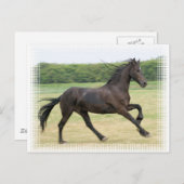 Galloping Friesian Postkarte (Vorne/Hinten)