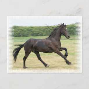 Galloping Friesian Postkarte