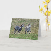 Galloping-Graupferde-jede Anlässe Karte (Gelbe Blume)