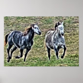 Galloping Graupferde Poster (Vorne)