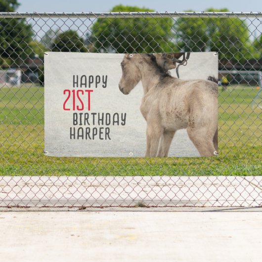 Galloping gute Zeiten! Pferd Birthday Banner (Insitu)