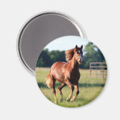 Galloping Horse Magnet (Vorderseite/Rückseite)