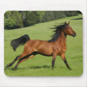 Galloping Horse Mousepad (Vorne)