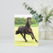 Galloping Horse Postcard Postkarte (Stehend Vorderseite)