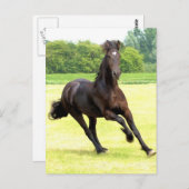 Galloping Horse Postcard Postkarte (Vorne/Hinten)