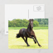 Galloping Horse Postcard Postkarte (Vorne/Hinten)