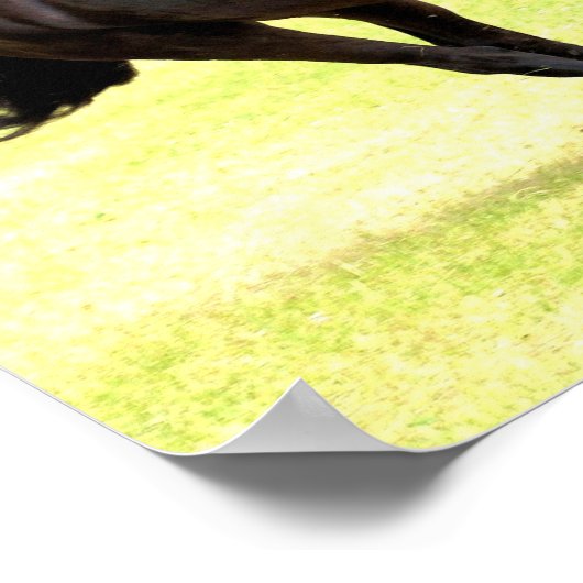 Galloping Horse Poster (Ecke)