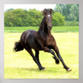 Galloping Horse Poster (Vorne)