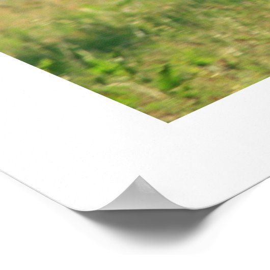 Galloping Horse Poster Print (Ecke)