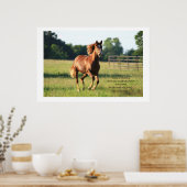 Galloping Horse Poster Print (Küche)