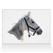 Galloping im Schnee (Innenansicht Horizontal (Oben))