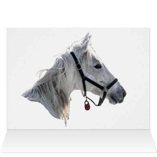 Galloping im Schnee (Innenansicht Horizontal (Oben))