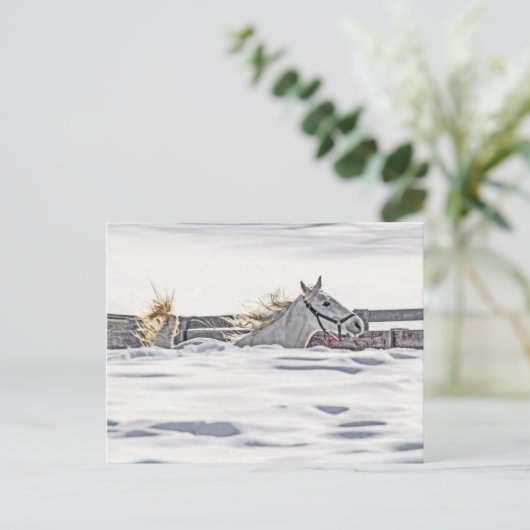 Galloping im Schnee Postkarte (Stehend Vorderseite)