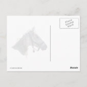 Galloping im Schnee Postkarte (Rückseite)